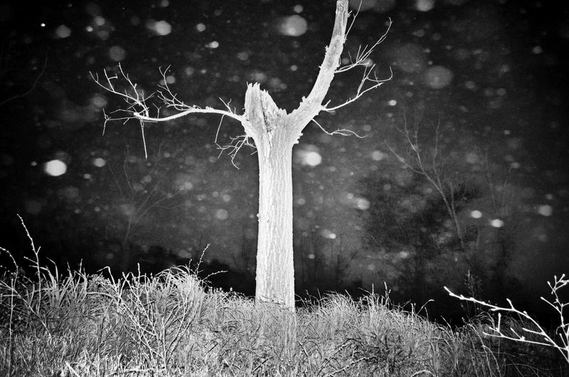 © Stavros Stamatiou - Image from the A raven's dream photography project