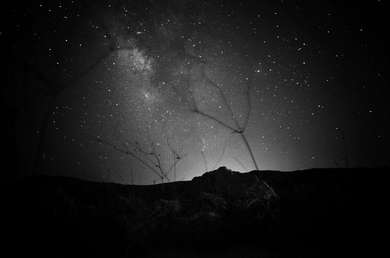 © Stavros Stamatiou - Image from the A raven's dream photography project