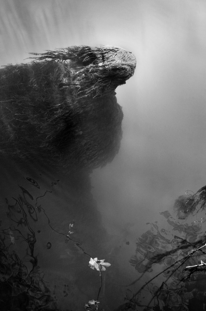 © Stavros Stamatiou - Image from the A raven's dream photography project