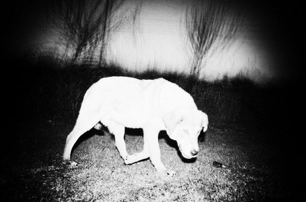 © Stavros Stamatiou - Image from the A raven's dream photography project