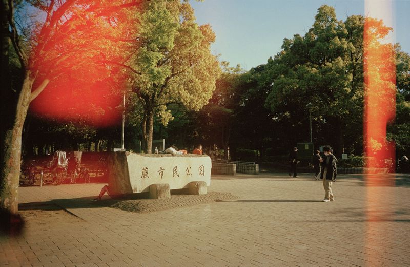 © Sachiko Saito - Image from the Not Now But One Day photography project