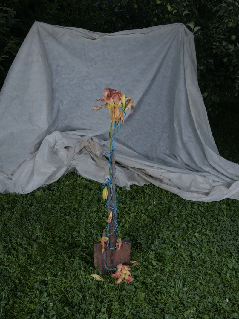 © Elena Taganova - Image from the Shadows of the Summer Wind photography project