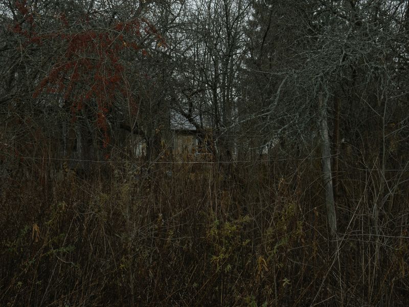 © Elena Taganova - Image from the Shadows of the Summer Wind photography project