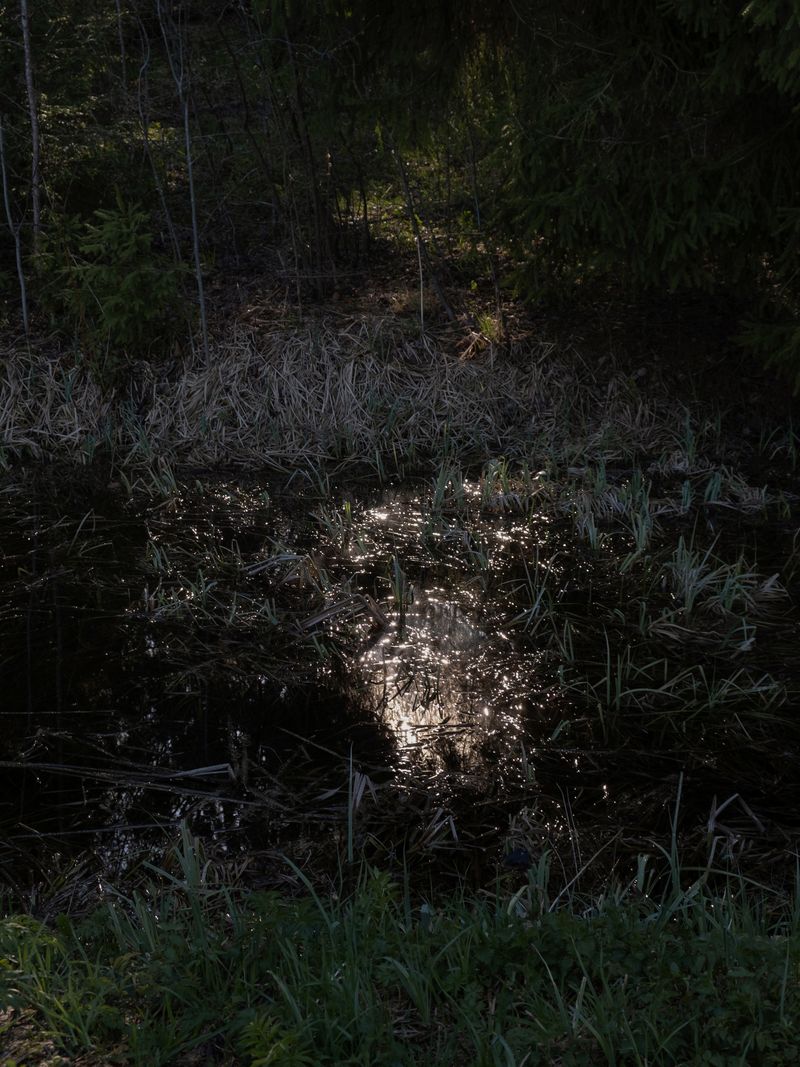 © Elena Taganova - Image from the Shadows of the Summer Wind photography project