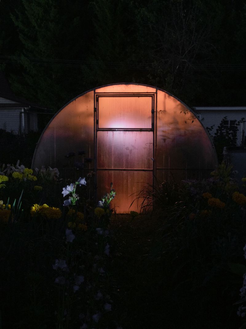 © Elena Taganova - Image from the Shadows of the Summer Wind photography project