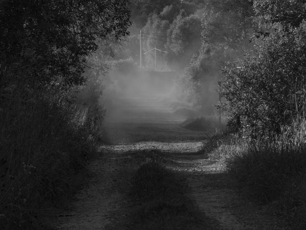 © Elena Taganova - Image from the Shadows of the Summer Wind photography project