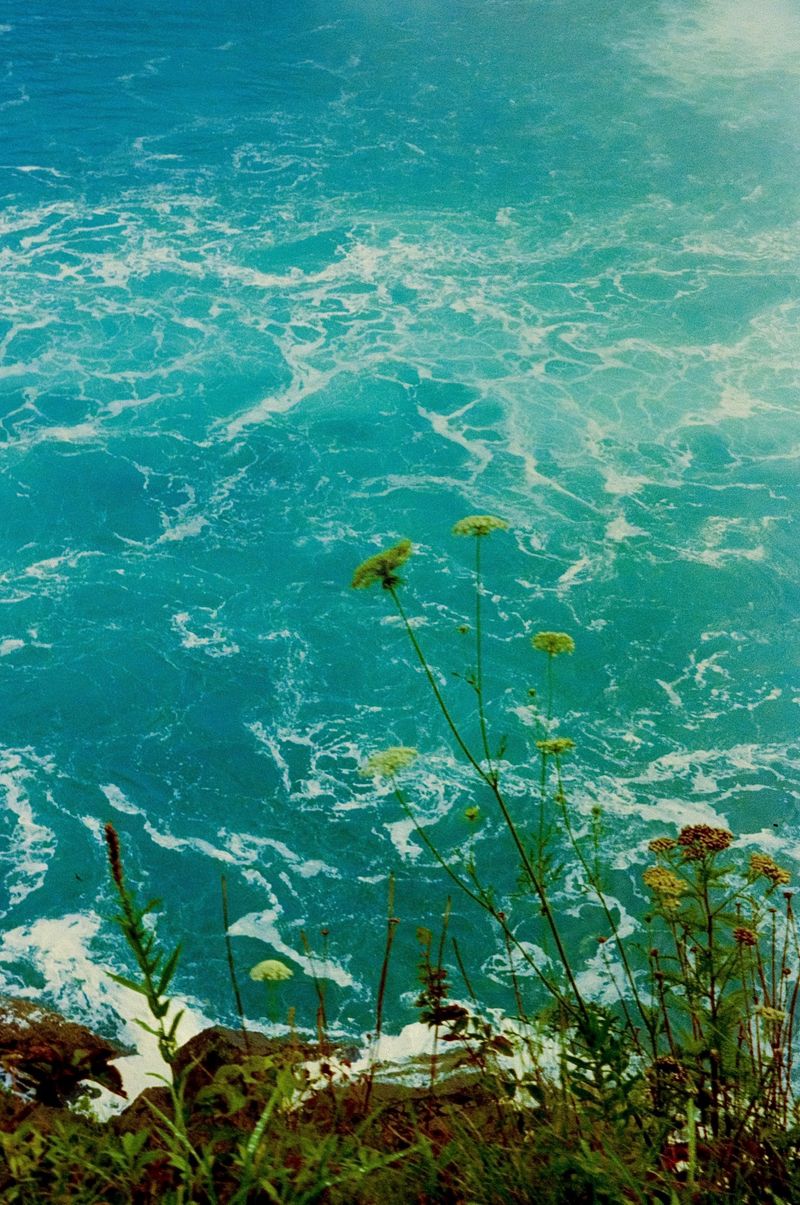 © Caitlyn Anderson - Edge of the falls