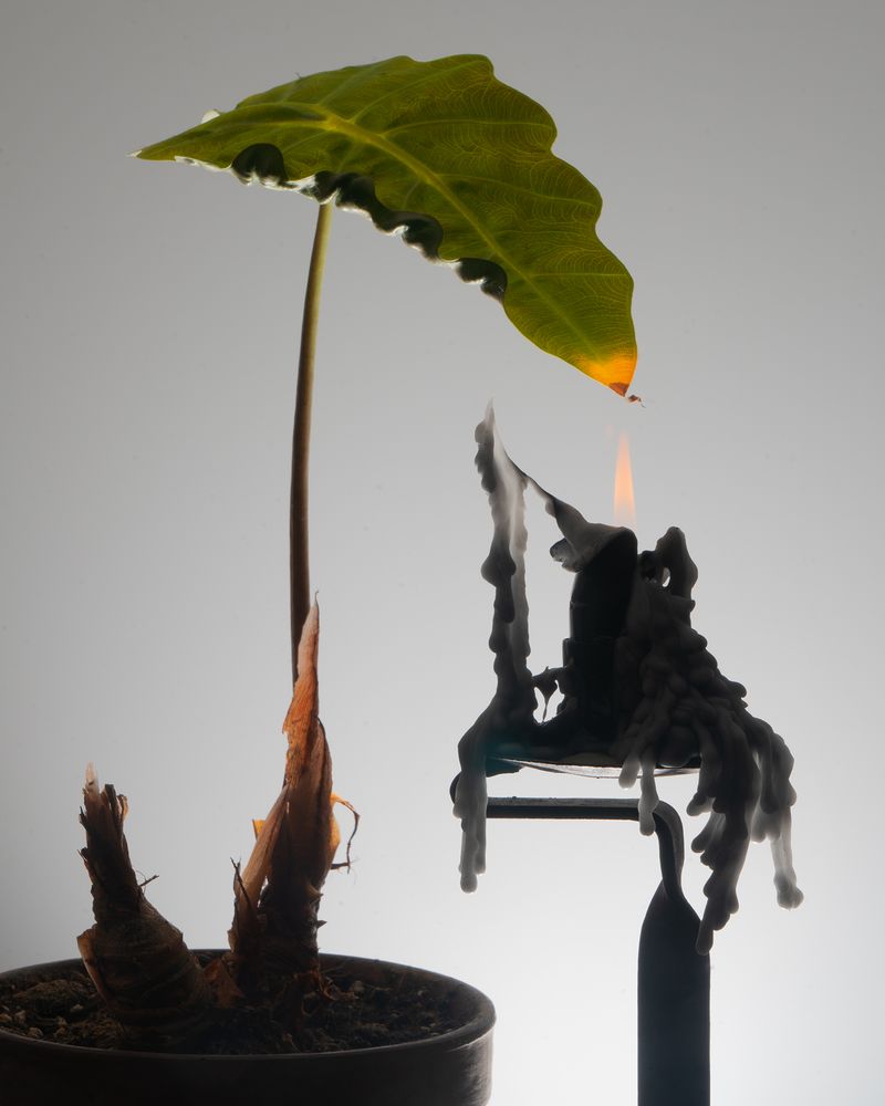 © Sophie Gladstone - Image from the Promise and Demand photography project