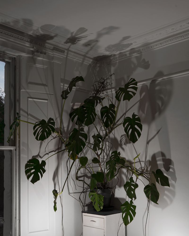 © Sophie Gladstone - Image from the Promise and Demand photography project