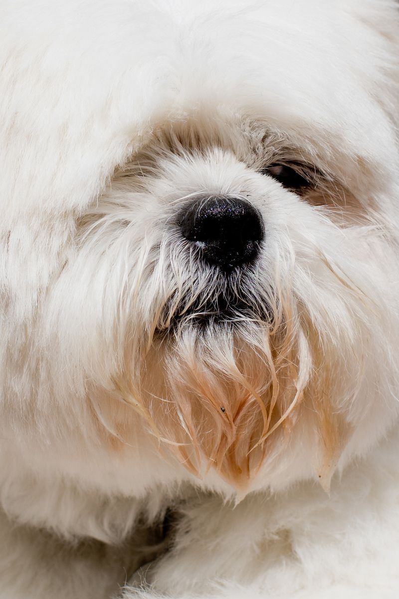 © Riccardo Banfi - Baci