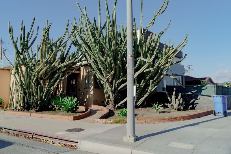 © Riccardo Banfi - House #04