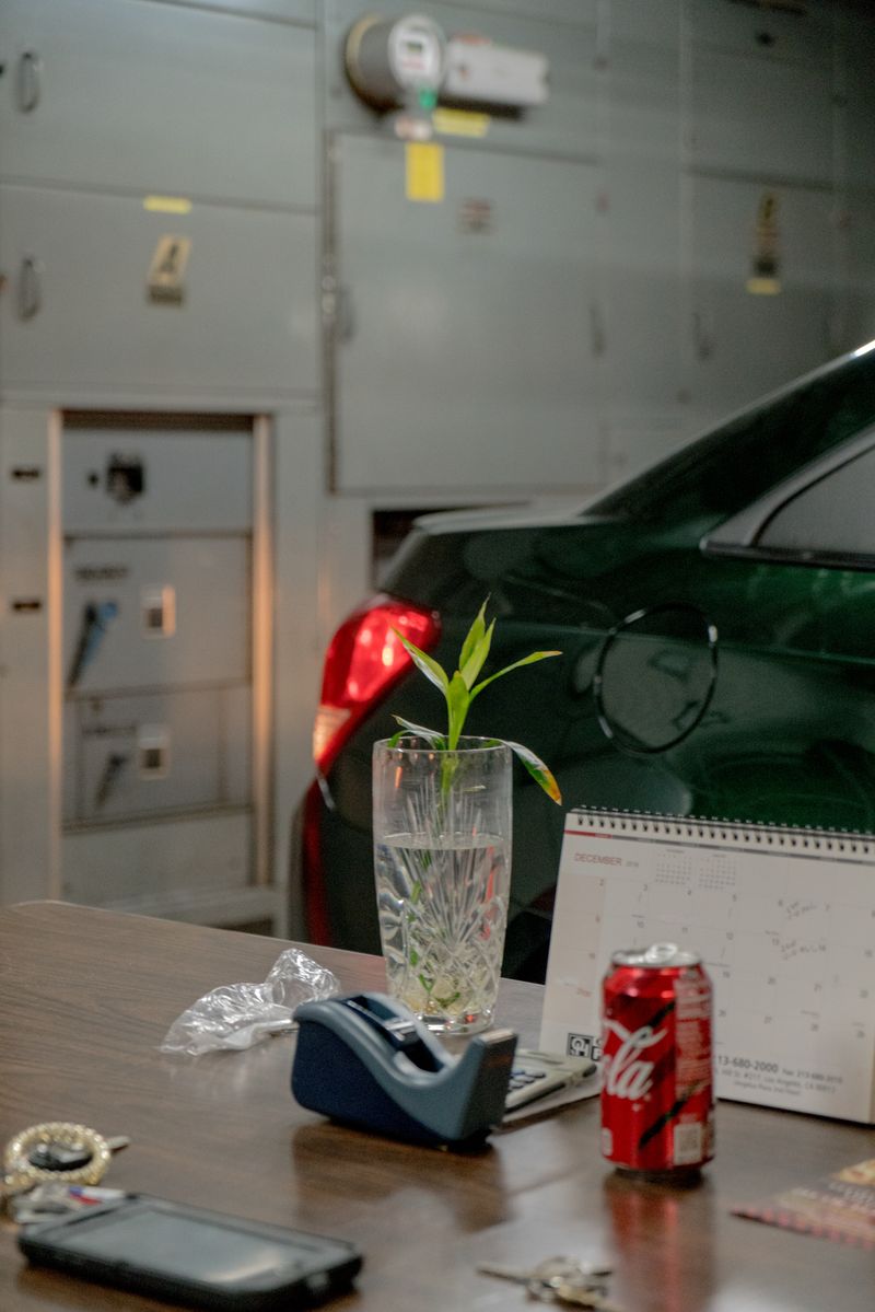 © Riccardo Banfi - Garage