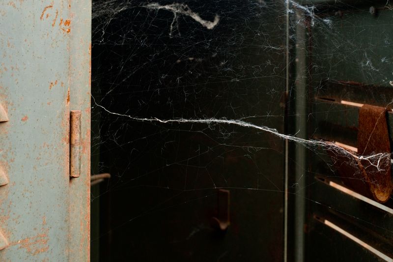 © Riccardo Banfi - Spiderweb (2017)