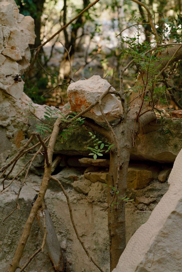 © Riccardo Banfi - Holding Hands #01