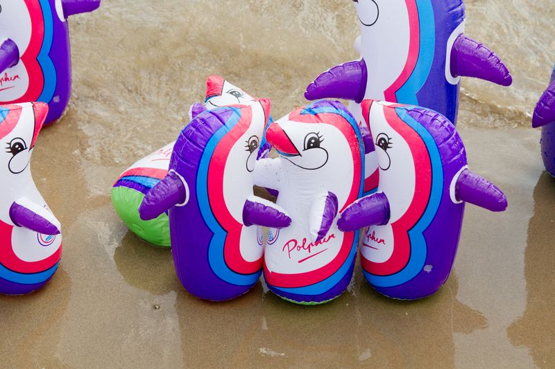 © Riccardo Banfi - Pinguini al mare (2015)