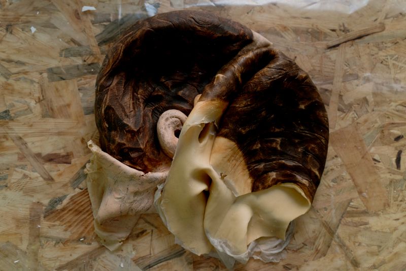 © Riccardo Banfi - Crash (2017)