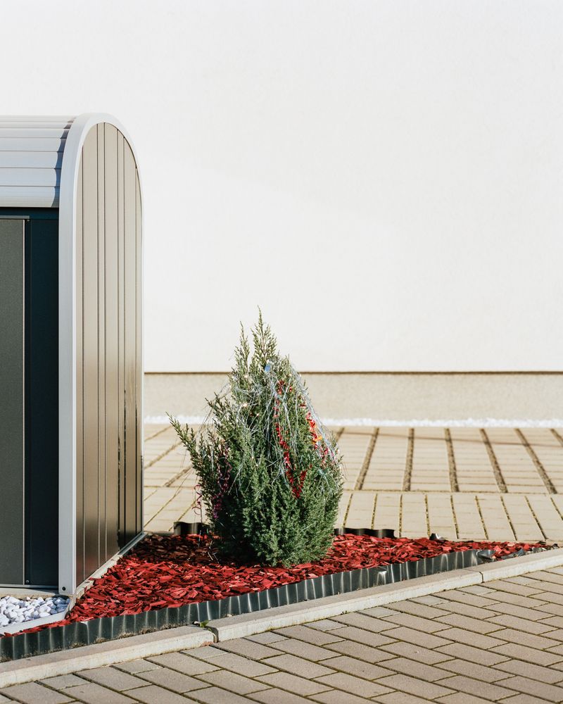 © max.korndoerfer - Image from the Zaunkönig photography project