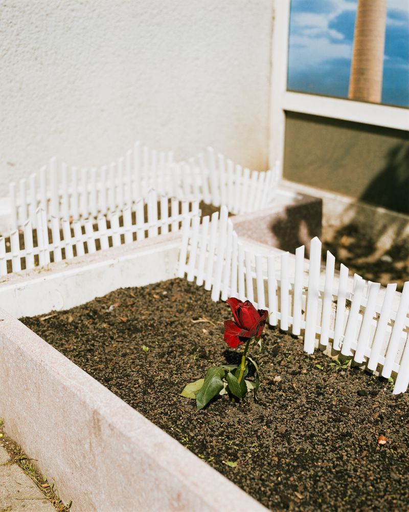 © max.korndoerfer - Image from the Zaunkönig photography project