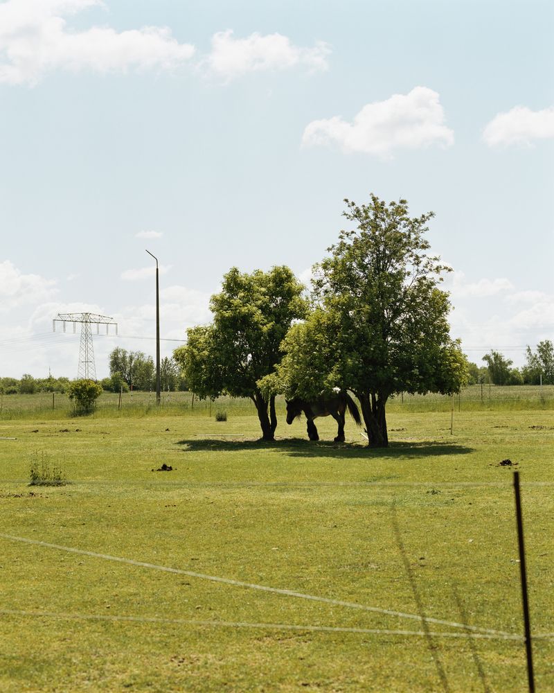 © max.korndoerfer - Image from the Zaunkönig photography project