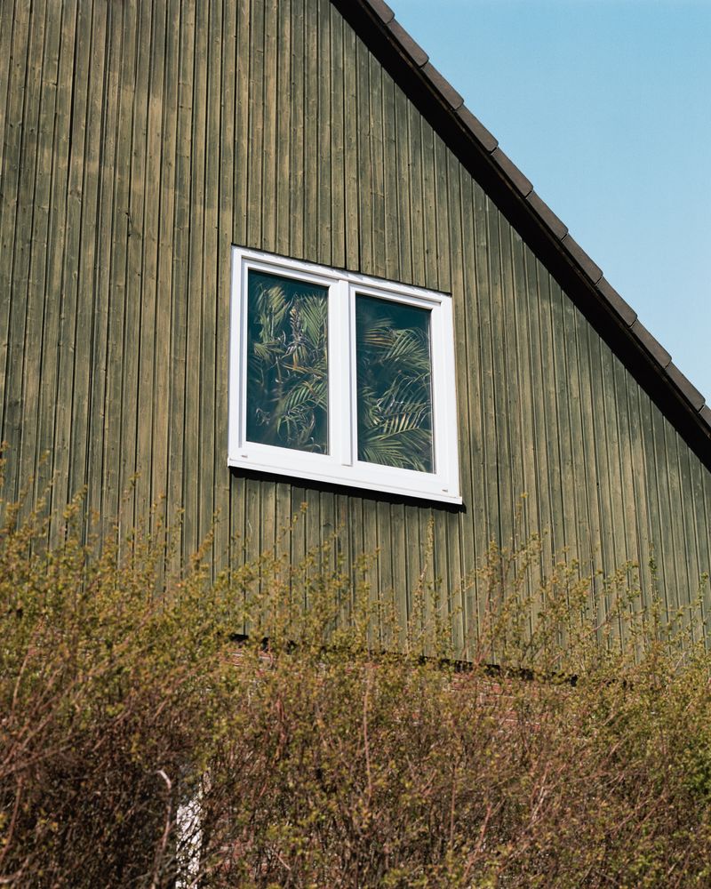 © max.korndoerfer - Image from the Zaunkönig photography project
