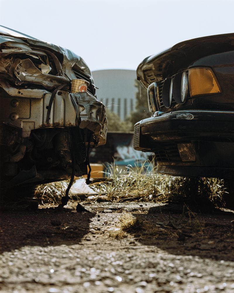 © max.korndoerfer - Image from the Zaunkönig photography project