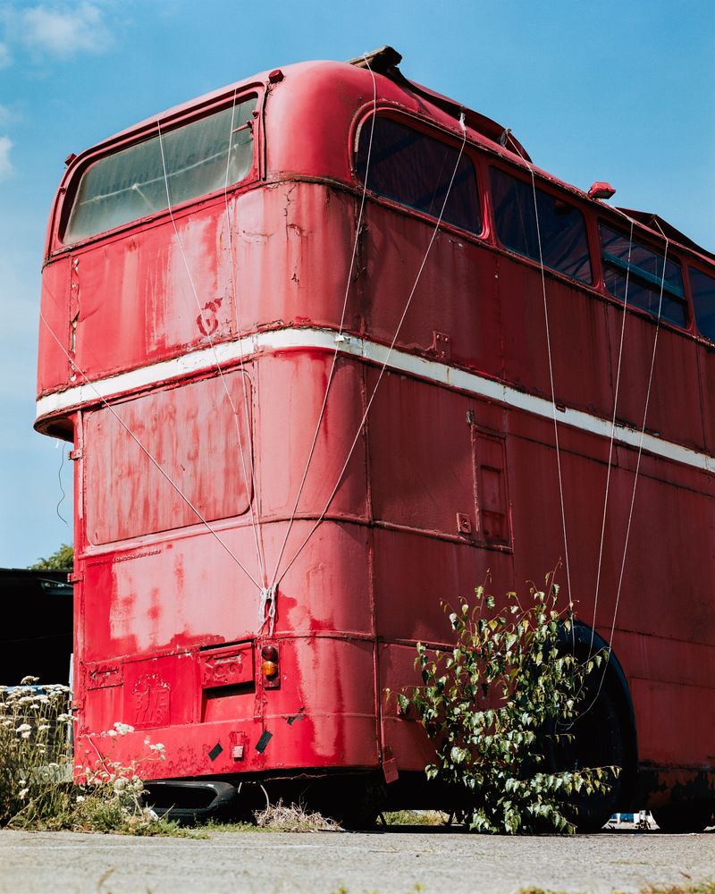 © max.korndoerfer - Image from the Zaunkönig photography project