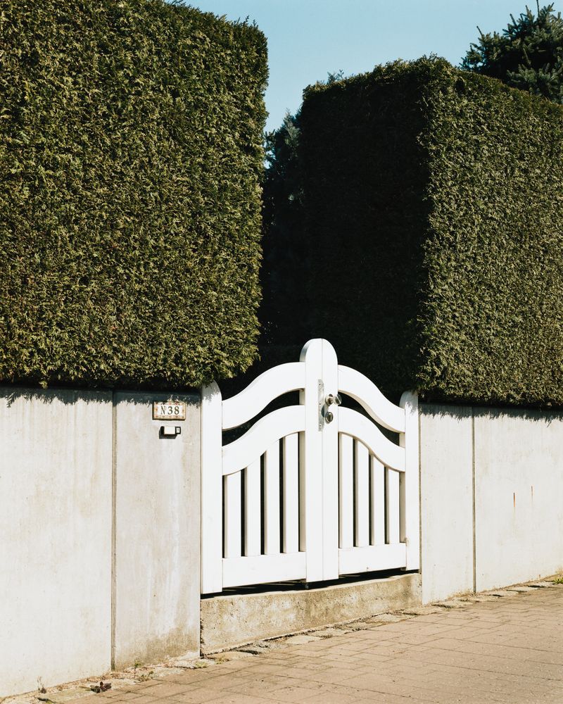 © max.korndoerfer - Image from the Zaunkönig photography project
