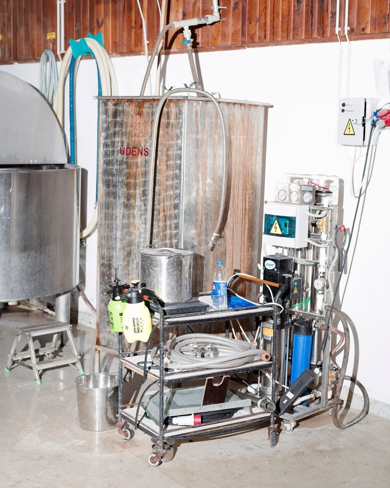 © Pauls Rietums - Image from the Looking at My Nape Using Two Mirrors photography project