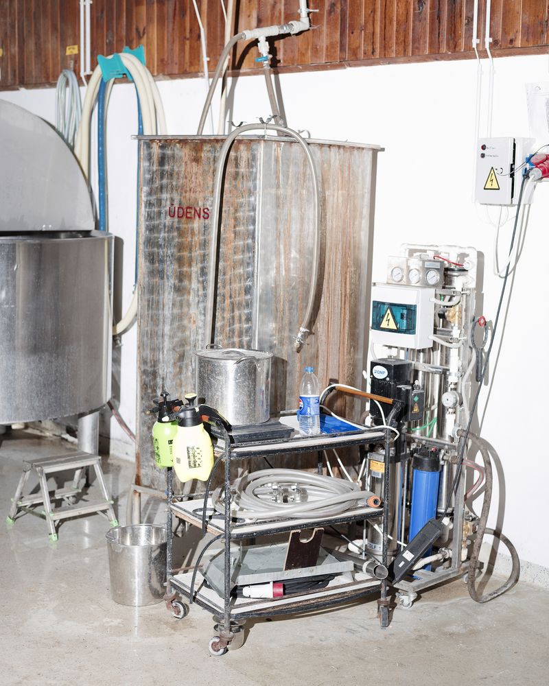 © Pauls Rietums - Image from the Looking at My Nape Using Two Mirrors photography project