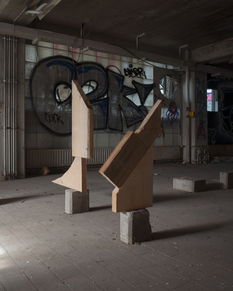 © Pauls Rietums - Image from the Looking at My Nape Using Two Mirrors photography project