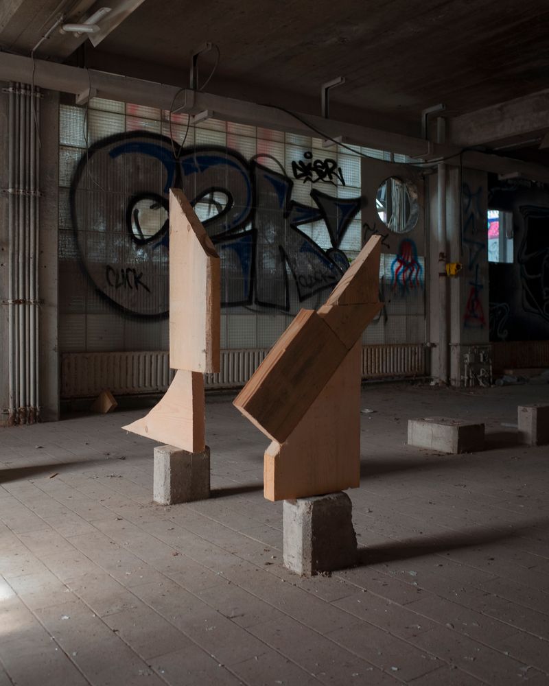 © Pauls Rietums - Image from the Looking at My Nape Using Two Mirrors photography project