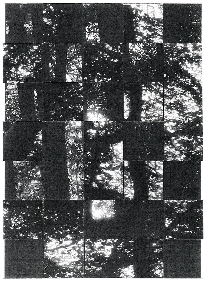 © Pauls Rietums - Image from the Looking at My Nape Using Two Mirrors photography project