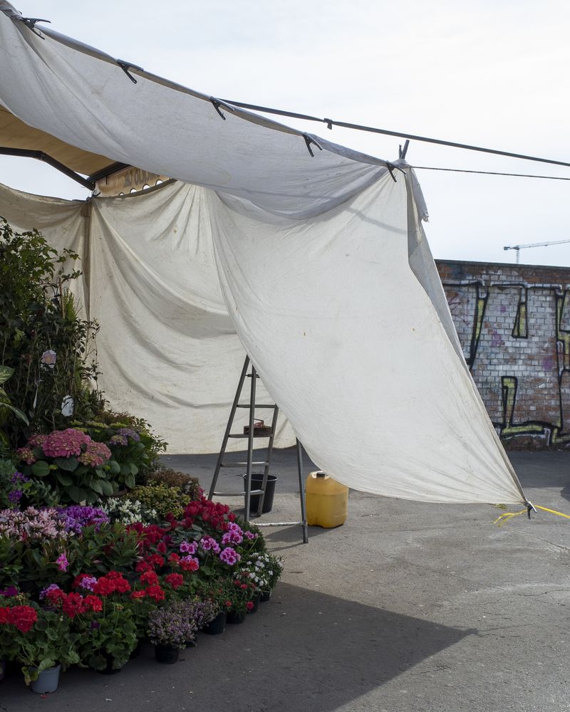 © Pauls Rietums - Image from the Looking at My Nape Using Two Mirrors photography project