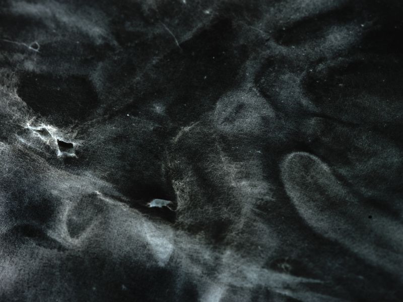 © Haozheng Wu - Image from the Inkstellar photography project