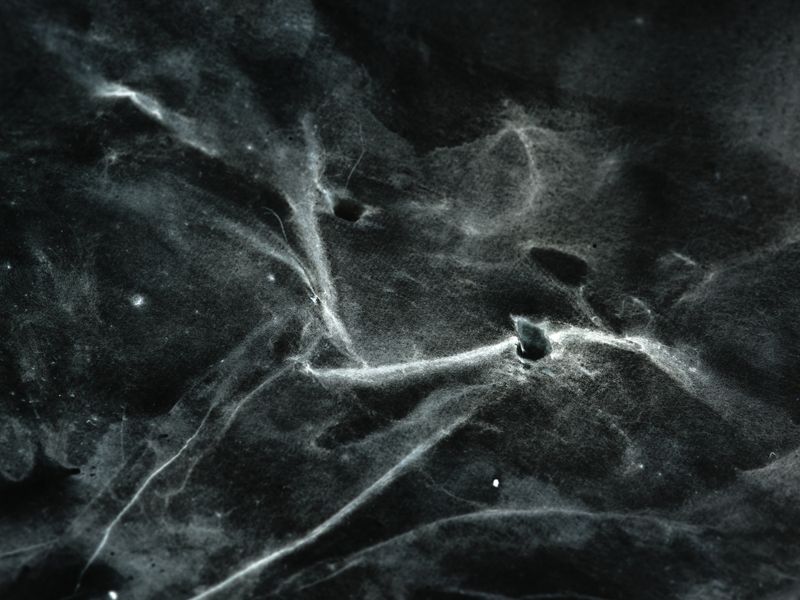 © Haozheng Wu - Image from the Inkstellar photography project