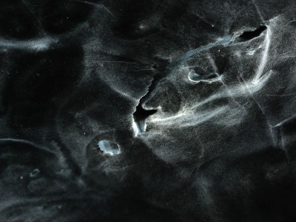 © Haozheng Wu - Image from the Inkstellar photography project