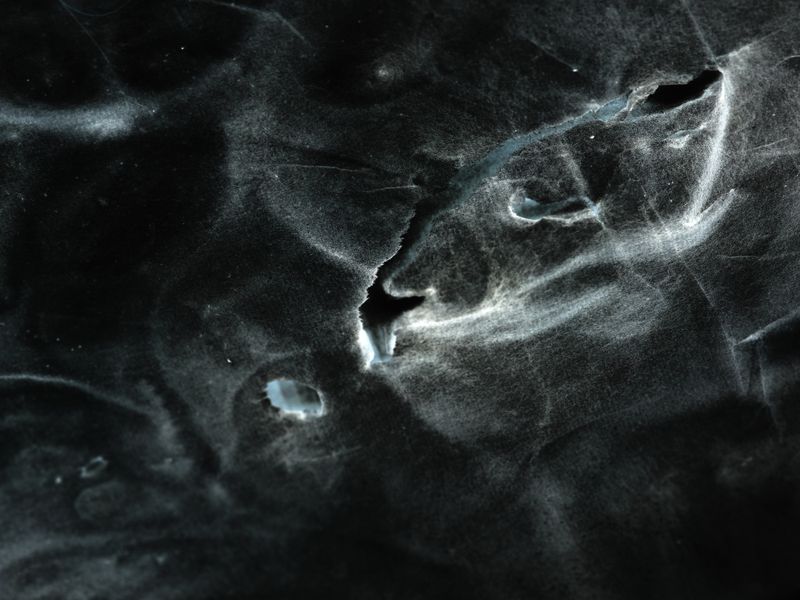 © Haozheng Wu - Image from the Inkstellar photography project