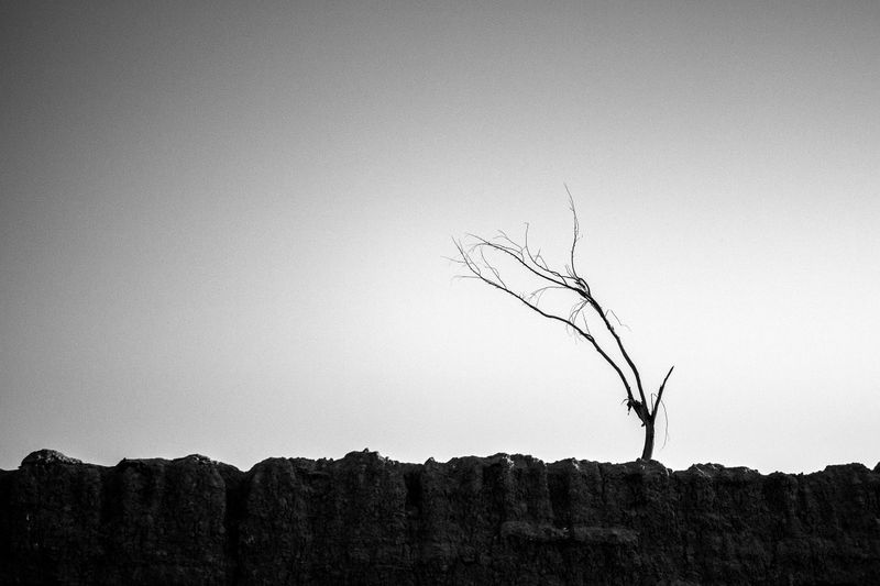 © SARAB COLLECTIVE  - Image from the DALIRAN photography project