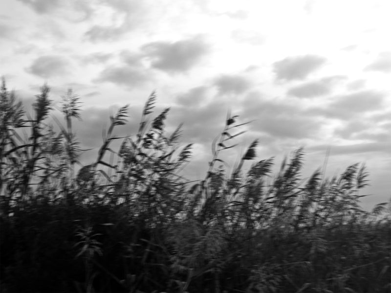 © SARAB COLLECTIVE  - Image from the Non ci sono che sale, chiese, granai photography project