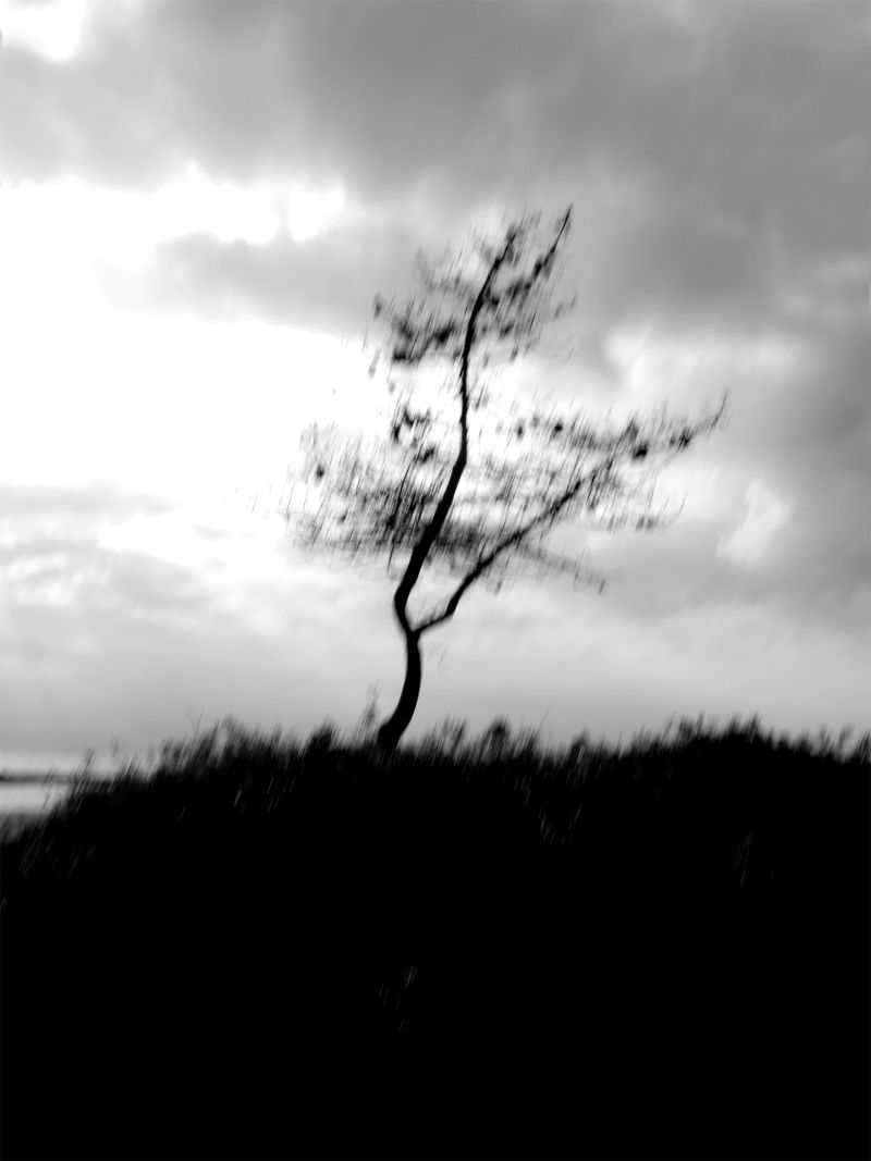 © SARAB COLLECTIVE  - Image from the Non ci sono che sale, chiese, granai photography project