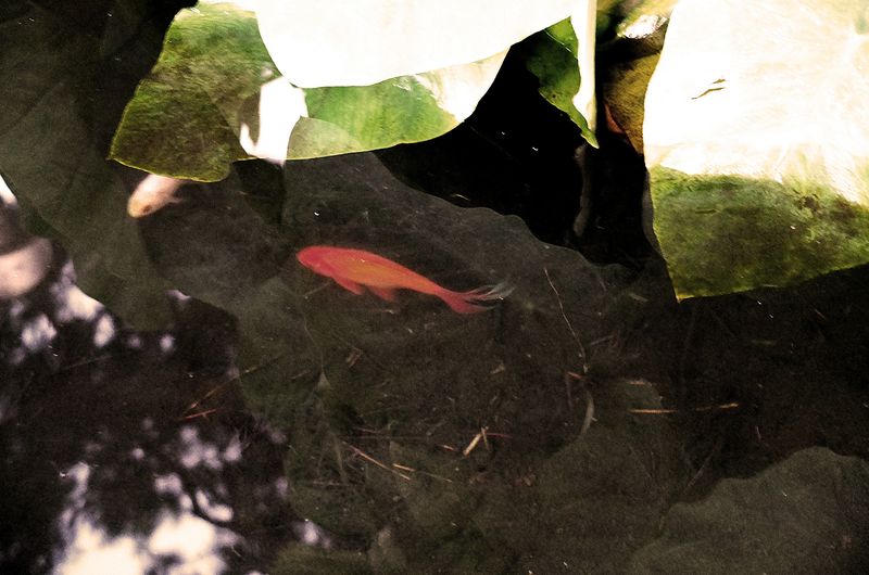© SARAB COLLECTIVE  - Image from the Non ci sono che sale, chiese, granai photography project
