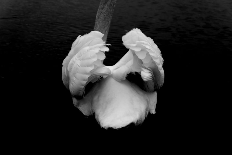 © SARAB COLLECTIVE  - Image from the AFTER MEANING photography project