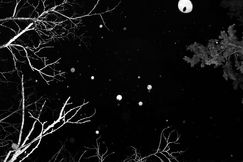 © SARAB COLLECTIVE  - Image from the AFTER MEANING photography project