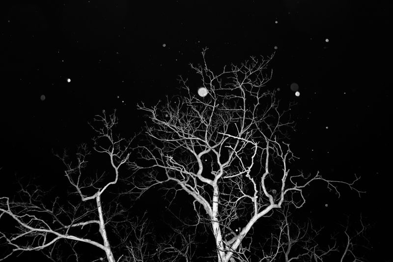 © SARAB COLLECTIVE  - Image from the AFTER MEANING photography project