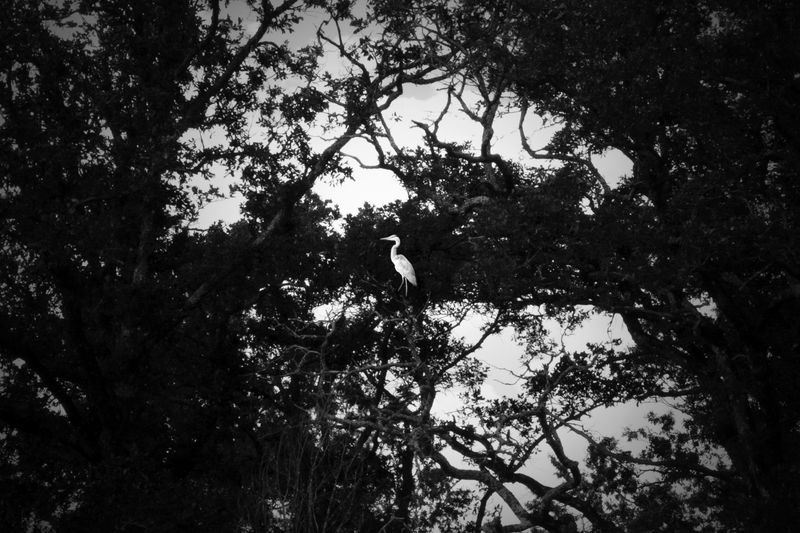 © SARAB COLLECTIVE  - Image from the AFTER MEANING photography project