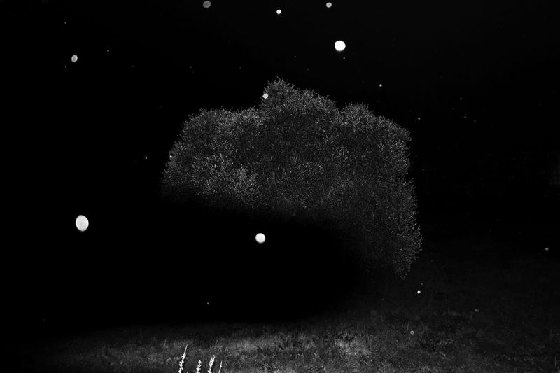 © SARAB COLLECTIVE  - Image from the AFTER MEANING photography project