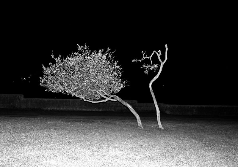 © SARAB COLLECTIVE  - Image from the AFTER MEANING photography project