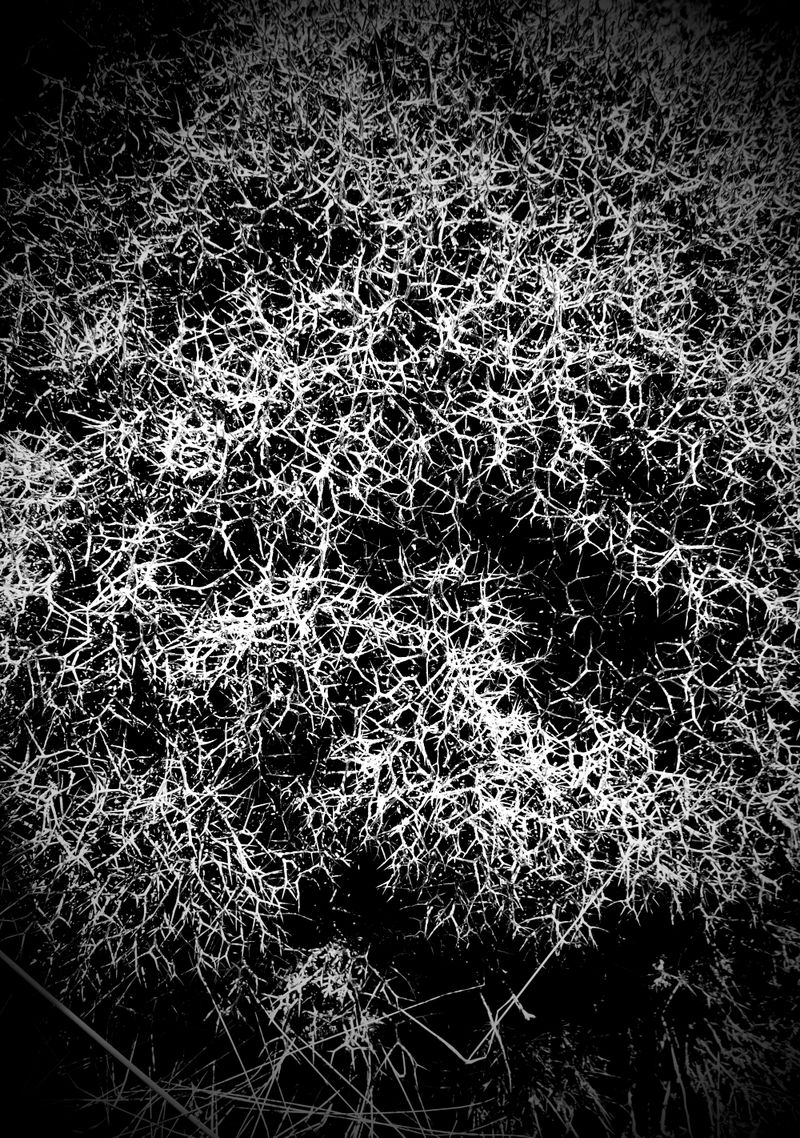 © SARAB COLLECTIVE  - Image from the AFTER MEANING photography project
