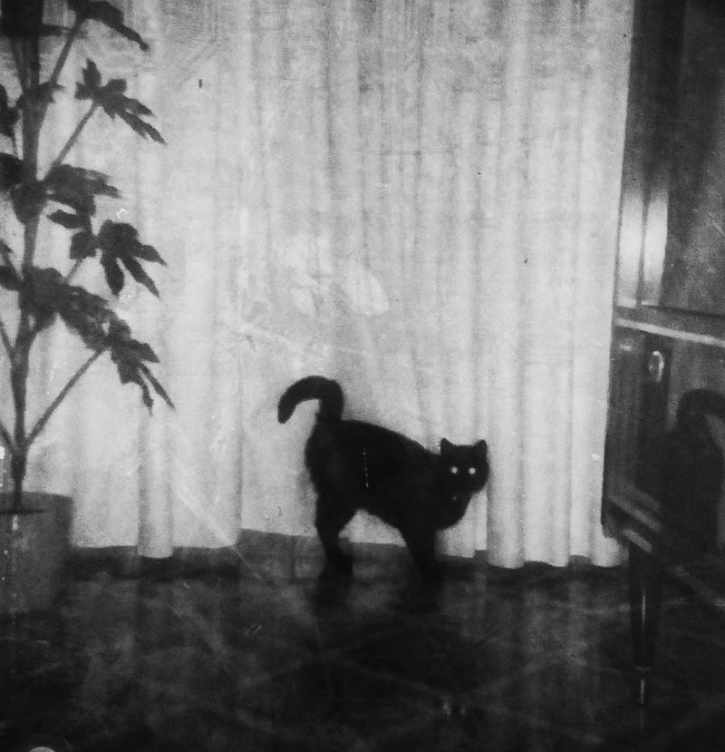 © SARAB COLLECTIVE  - Image from the AFTER MEANING photography project