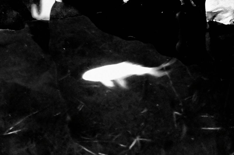 © SARAB COLLECTIVE  - Image from the AFTER MEANING photography project